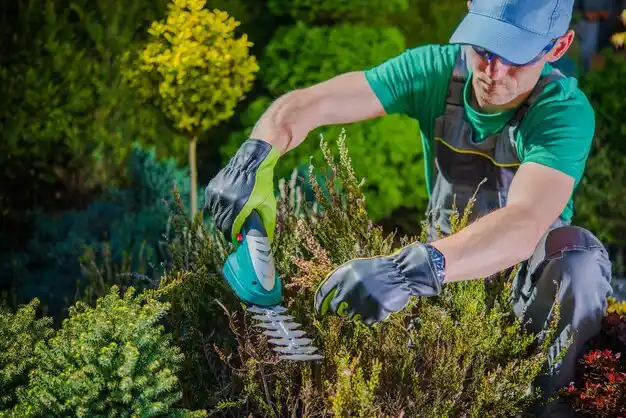 landscaping services Springport